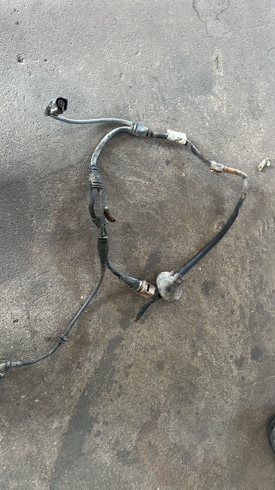 Otros cables del vehículo AUDI A6 2008 - foto 1