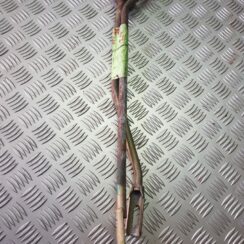 Pārnesumu pārslēgšanas mehānisma troses priekš AUDI A6 1998