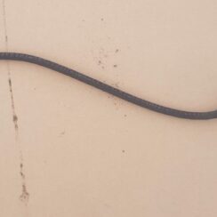 Solenoīda vārsta caurule priekš AUDI A4 2005