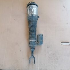 Pneimoatsperes statnis priekšējais priekš VW PHAETON 2005