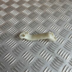 Aizmugures luktura stiprinājums priekš AUDI A6 AVANT 2006