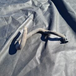 Transmisijas ventilācijas šļūtene priekš NISSAN X-TRAIL 2008