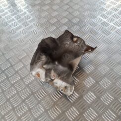 Karstuma aizsargs (mazs) priekš FIAT STILO 2003