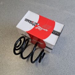 Aizmugurējā atspere priekš