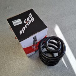 Aizmugurējā atspere priekš