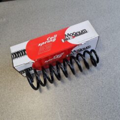 Aizmugurējā atspere priekš